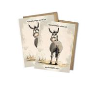 WBdesignz Set di 2 biglietti di scusa, divertenti, "Scusa che ero così un asino", biglietti di auguri umoristici, amici, partner, colleghi, con buste DIN A6 (set da 2 pezzi)