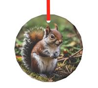 WBQLSL Questo simpatico ciondolo rotondo in vetro stampato a forma di scoiattolo è perfetto per Natale, Halloween e altre decorazioni natalizie.