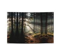 WBQLSL Striscione per feste stampato con luce nella foresta, 119,4 x 180,3 cm, per compleanno/Natale/laurea/anniversario