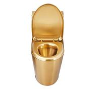 WC a doppio scarico, ad alta efficienza, risparmio idrico, design in un unico pezzo per bagni moderni