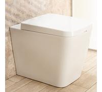 WC Filo Parete Minimal seduta e copri vaso di design L35xP56xA41cm