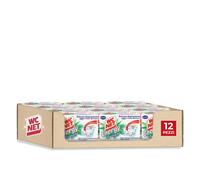 Wc Net - Energy con Candeggina, Detergente Igienizzante in Polvere per WC, 60 g