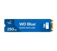 WD Blue Sa510 SATA SSD M.2 2280 250 GB intern M.2 2280 SATA WDS250G3B0B-00AXS0