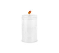 Wd Lifestyle Barattolo per caffè, 1,2 lt Barattolo per caffè, 1,2 lt