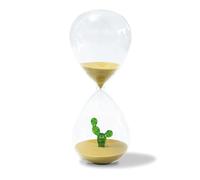 WD Lifestyle - Caraffa in Vetro Borosilicato 30 Minuti con Decorazione Cactus