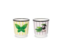 WD LIFESTYLE NEW MYKONOS SET 2 BICCHIERINI CAFFE' FARFALLA E OLIVA
