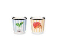 WD LIFESTYLE NEW MYKONOS SET 2 BICCHIERINI CAFFE' PAGURO E CONIGLIO