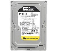 WD RE WD2503ABYZ - hard disk - 250 GB - SATA-600