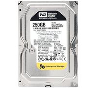 WD RE4 WD2503ABYX - hard disk - 250 GB - SATA 3Gb/s