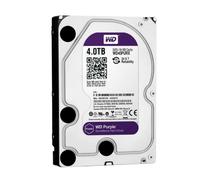 WD40PURZ - Disco rigido da 4TB WD Purple - Video
