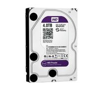 WD40PURZ - Disco rigido da 4TB WD Purple - Video