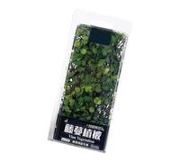 Wdbild Set di modelli di pezzi di arte in miniatura della vegetazione della vite accessori di montaggio per la decorazione domestica e gli appassionati di artigianato regalo personalizzabile desktop