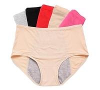 WDCAYQHZ Intimo in Rete a Prova di perdite per Donna, Mutandine a Prova di perdite Taglie Forti, Slip in Rete a Vita Alta, 6 Pezzi(Multicolor 2,7XL)