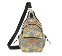 WDdZzyy Borsa a tracolla da donna alla moda per adolescenti, borsa per fotocamera, per corsa, pesca, stile retrò limone melograno William Morris