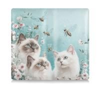 WDdZzyy Robusto Ragdoll Cats Turchese Premium Leather Registrazione e Assicurazione Titolare Prefetto Auto Essentials Portafoglio per documenti, carte, patente, Robusto Ragdoll gatti Turchese, 1 size