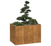 WDGJJFECNMUEHI Fioriera Arrugginita 120x80x80 cm in Acciaio Corten - Rustic Flower Box for Garden Patio Weatherproof Steel Planter with Open Bottom - Large Raised Bed for Plants, Vegetables, Herbs