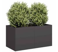 WDGJJFECNMUEHI Fioriera Nera 80x40x40 cm in Acciaio Laminato a Freddo per Giardino e Balcone, Fioriera Moderna con Design Aperto, Ampio Spazio Maggiore Stabilità per Piante Fiori e Ortaggi