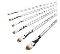 WDSOPK Paint Brush Set Artist Paint Brushes Set Paint Brushes Art Brushes Set for Painting for Acrylic Oil Watercolor 6 PCS