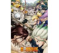 WDZFF Colorato Irregular Puzzle - Per Giocattoli Educativi Per Bambini - Japanese Animes Dr.Stone Poster - Decorazione Artistica Da Parete - Puzzle 1000 Pezzi Kq335Zp