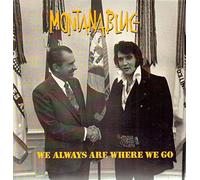We always are where we go (1991) / Vinyl record [Vinyl-LP]