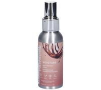 We Are Paradox Moisture Heat Protect Spray 100 ml Spray