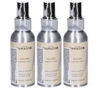 We Are Paradox Volume Blowdry Spray Volumizzante per Capelli 3x100 ml