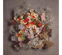 We Are the Willows - IV