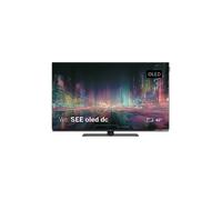 WE. BY LOEWE SEE 42 OLED Dual Channel TV OLED, SMART TV, 42 ", Full-HD, Grigio