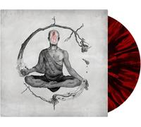 We Came As Romans