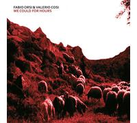 We Could For Hours - Fabio Orsi & Valerio Cosi (Audio Cd)
