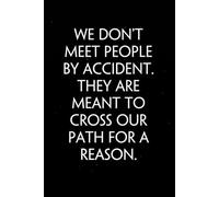 We don't meet people by accident They are meant to cross our path for a reason: Sarcastic Funny Office Notebooks for Teammates, Co-workers, New Jobs, Workplace, Employees, School, Friends (6x9 inches)