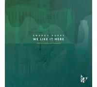 We Like It Here (Remixed + Remastered + Reimagined)