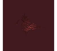 We Like We - Next To The Entire All