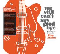 We Still Can'T Say Goodbye: a Musicians' Tribute T