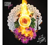 We Versus The Shark - Goodbye Guitar