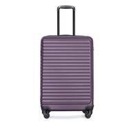 WEALTHOUSE Set di valigie rigide con manico telescopico, ruote scorrevoli a 360°, serratura a combinazione TSA integrata, ABS antiurto, scomparto a rete, cinghie incrociate, chiusura lampo, tripla