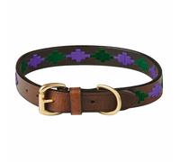 WeatherbeetaPolo Pelle Collare Per Cani (WB1600)