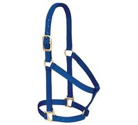 Weaver Equine - Cavezza per Cavalli in Nylon, Comoda fettuccia a Doppio Strato, Base Non Regolabile, per Cavalli, Taglia Media, Blu