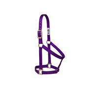 Weaver Equine - Cavezza per Cavalli in Nylon, Comoda Tessitura a Doppio Strato, Base Non Regolabile, per Cavalli, Taglia Media, Viola
