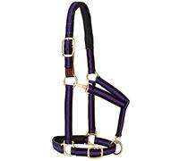 Weaver Equine, Cavezza staccabile per cavalli, comoda imbottitura in schiuma, regolabile, con moschettone sottomento e sottogola, finimenti per cavalli, taglia media, colore: viola