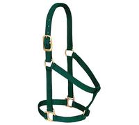 Weaver Leather Basic - Cavallo in Nylon Non Regolabile, Colore: Verde Cacciatore, 2,5 cm