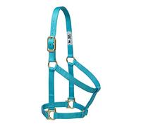 Weaver Leather Basic - Cavallo per Cavallo in Nylon Non Regolabile, Colore: Turchese, 2,5 cm
