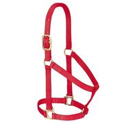 Weaver Leather - Cavezza Basica per Cavalli, Non Regolabile, in Nylon, Rosso, 2,5 cm