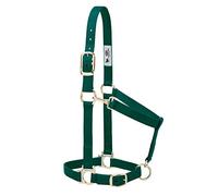 Weaver Leather, Cavezza basica regolabile in nylon, verde scuro (hunter green), 2,5 cm, per cavalli medi
