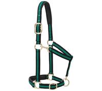 Weaver Leather Cavezza imbottita regolabile in nylon, verde, cavallo medio 2,5 cm