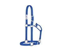 Weaver Leather Cavezza per cavallo in nylon non regolabile, grande, blu