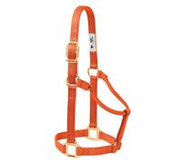 Weaver Leather Cavezza per Cavallo in Nylon, Non Regolabile, Piccola, Arancione