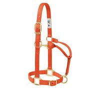 Weaver Leather Cavezza Regolabile in Nylon Originale, per Cavallo Normale, Arancione