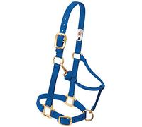 Weaver Leather - Cavezza Regolabile in Nylon per Cavalli, Colore Blu, Taglia M
