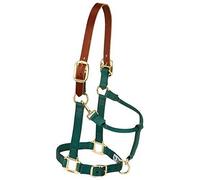 Weaver Leather, Cavezza Regolabile in Nylon per Cavalli, Misura M, Colore Verde Cacciatore